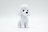 Poodle
