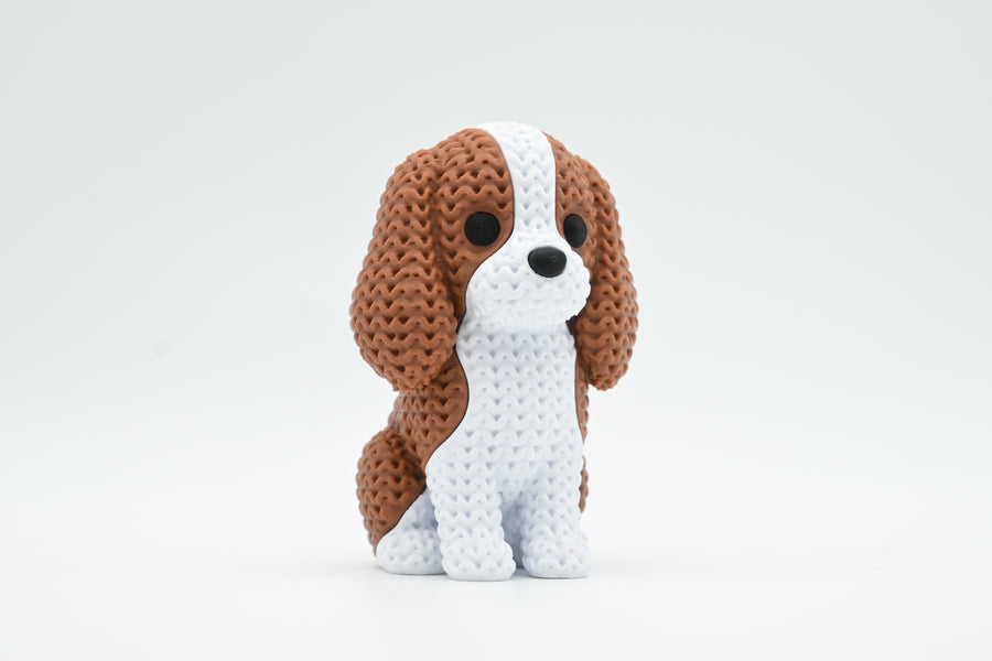 Cavalier King Charles Spaniel