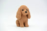 Cocker Spaniel
