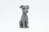 Greyhound