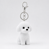 Bichon Frise